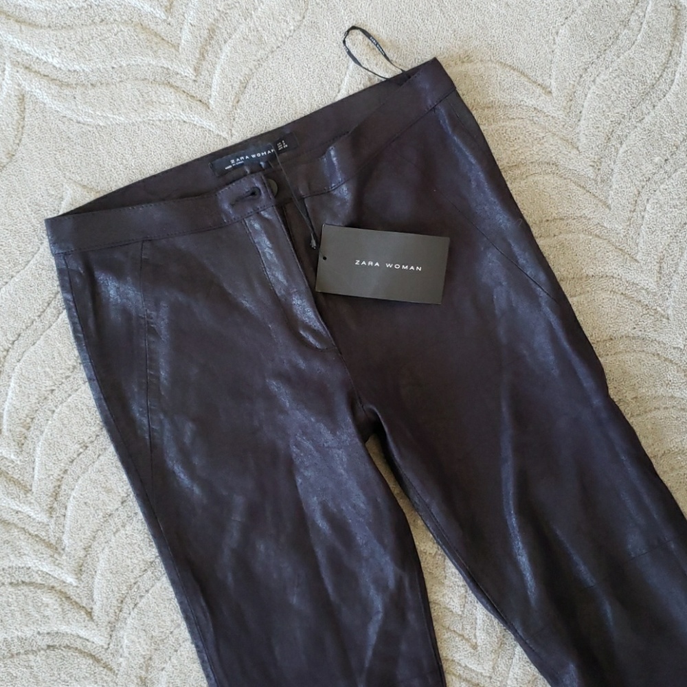 Nwt zara skinny pants